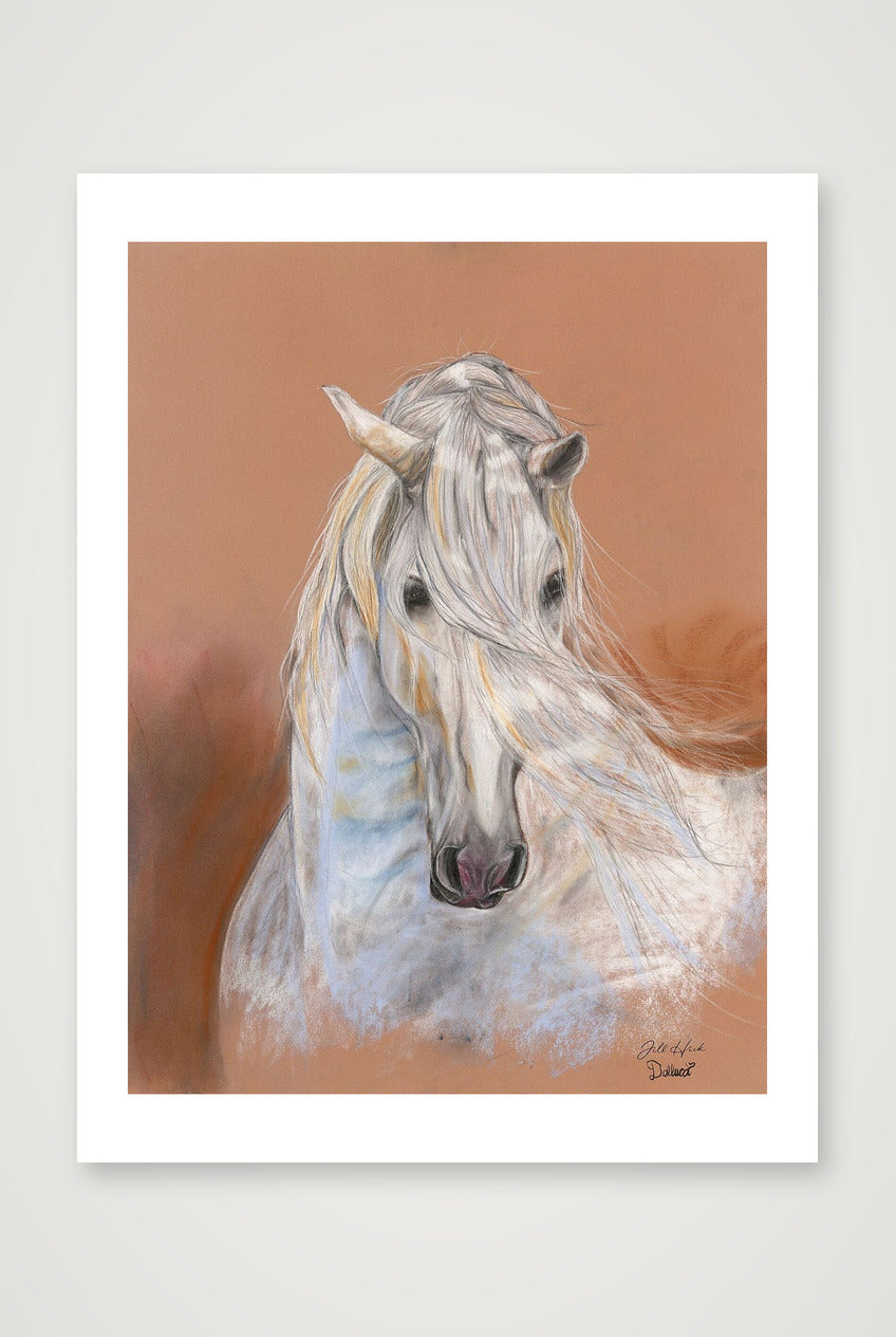 No.8 Nectar Delucci — 25×33cm, 10×13" Print only